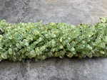 Prehnite | Chip Beads | 5-8mm