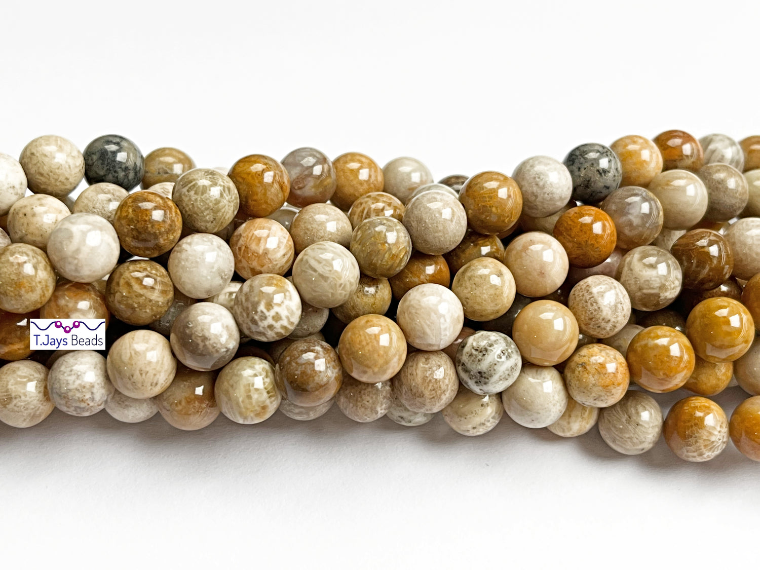 Fossil Coral | Round Beads | 8mm