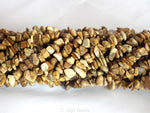 Picture Jasper | Chip Beads | 5-8mm | 32" String