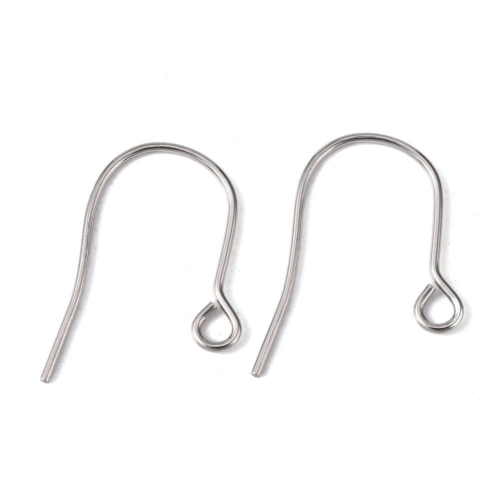 Stainless Steel Ear Wire (25 Pairs)