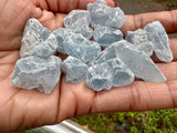 Celestite| Rough Stones | 2-3cms | 100g