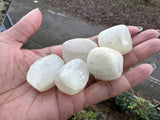 Selenite | Tumbled Stones | 3x2cms