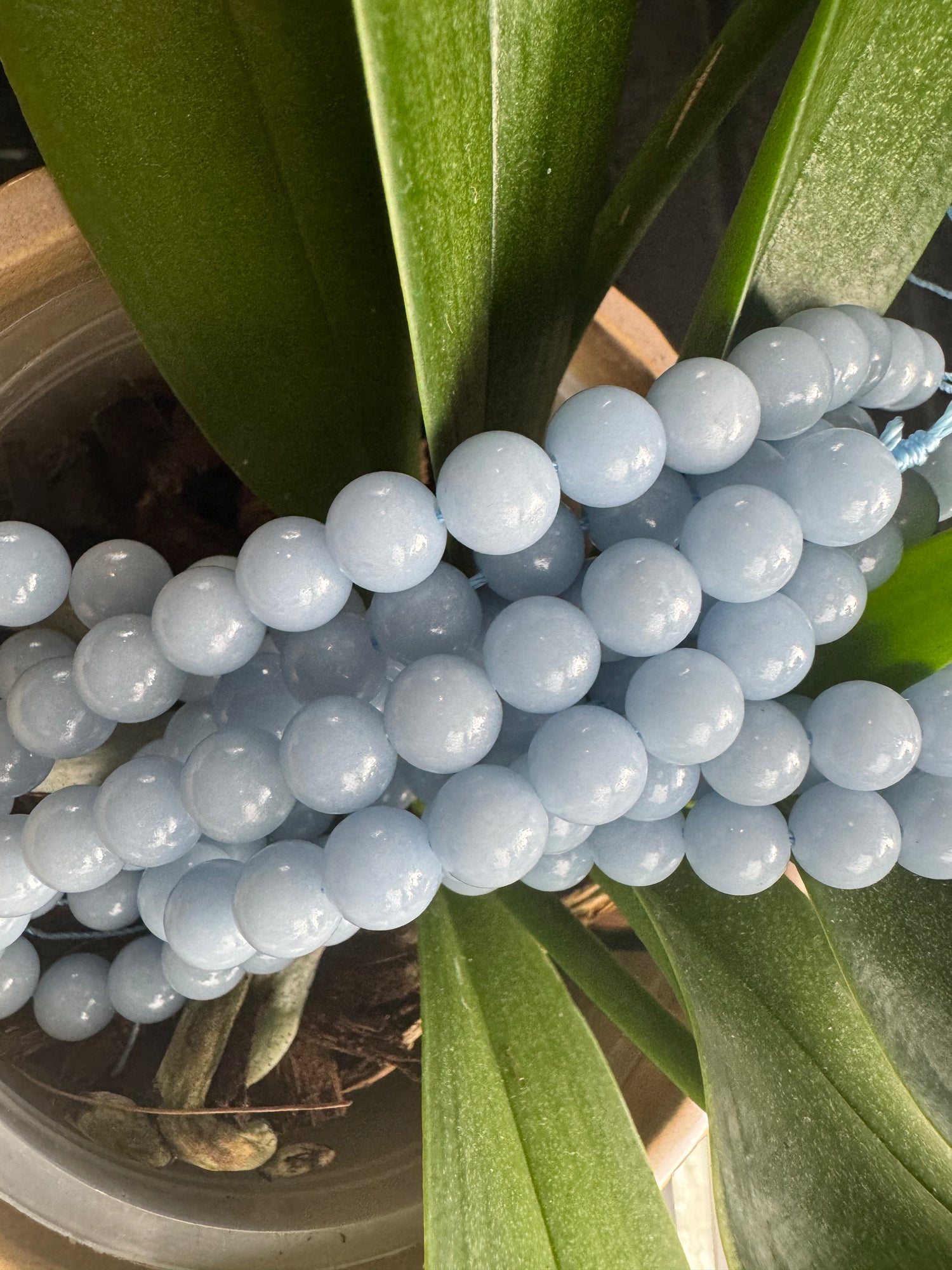 Angelite Round Beads | Round Beads | 6mm | A Grade