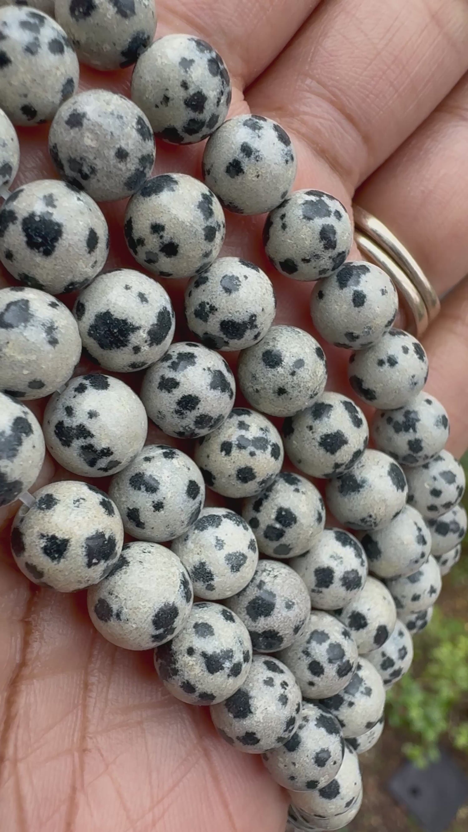 Dalmation Jasper | Round Beads | 8mm