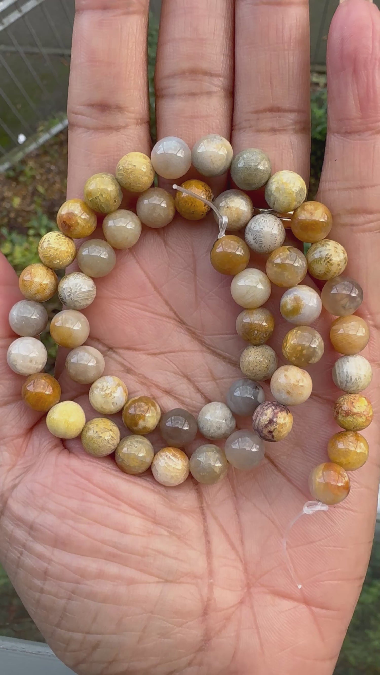 Fossil Coral | Round Beads | 8mm