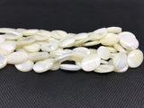 Natural spiral shell oval beads