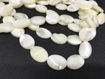 Natural spiral shell oval beads