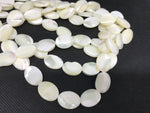 Natural spiral shell oval beads