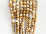 8mm Fossil Coral Round Beads