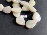 Natural Spiral Shell Drop Beads 18x14mm